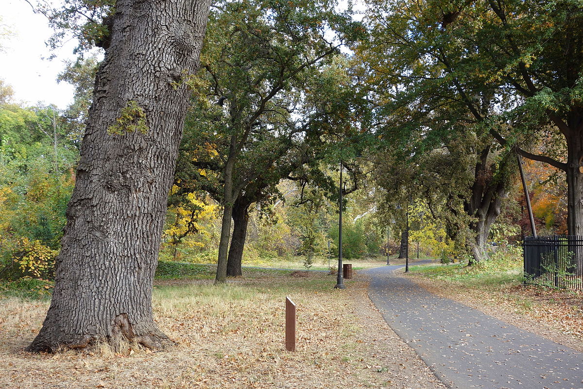 Bidwell Park in Chico, CA