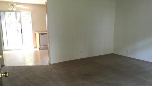 Shot of living room connecting to dining room.