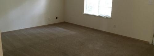 view of an empty bedroom with clean carpet floors.