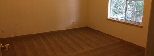 view of an empty bedroom with clean carpet floors.